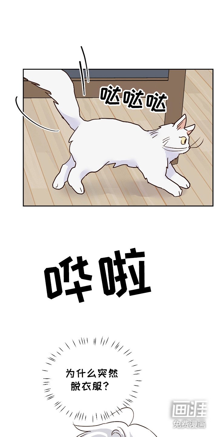 第16章：表白（完结）