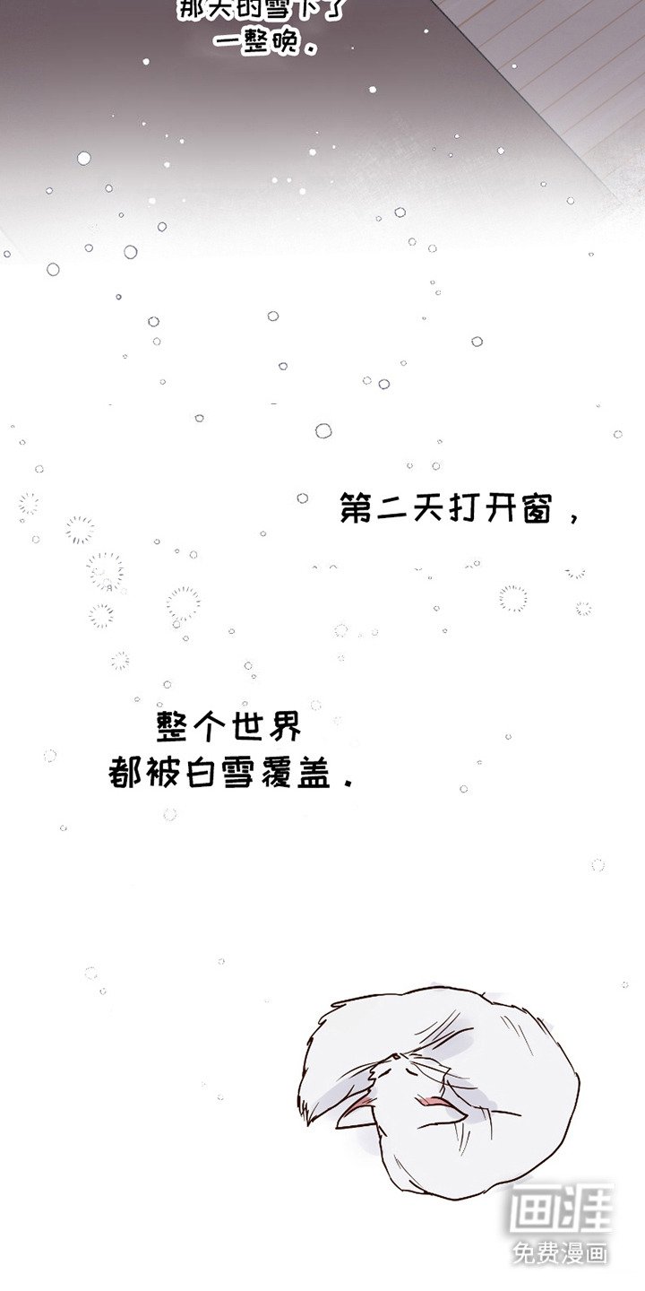 第16章：表白（完结）