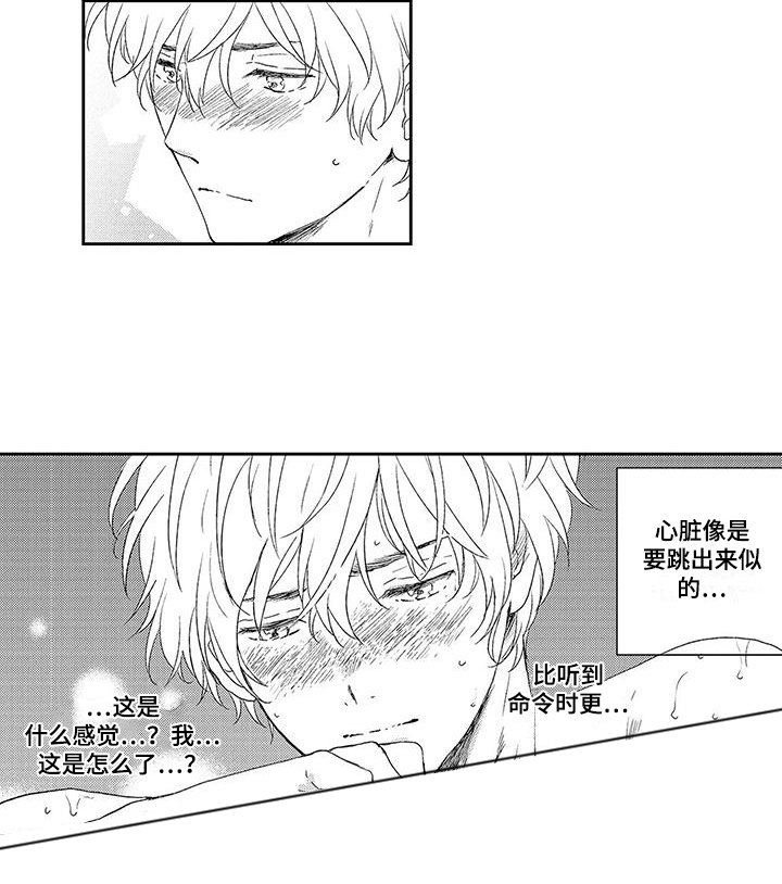 第15章：尊敬