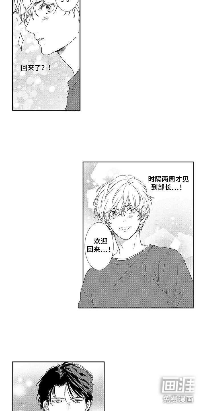 第26章：回来了（完结）