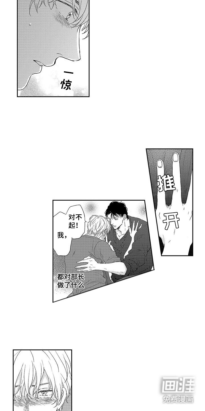 第6章：搭档