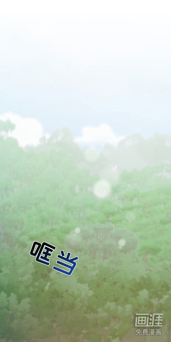 第11章： 面纱
