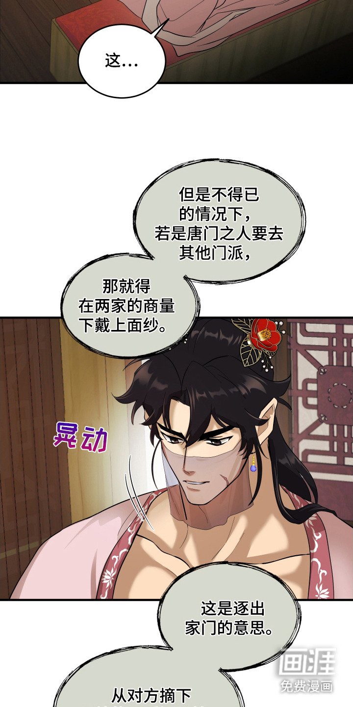 第11章： 面纱