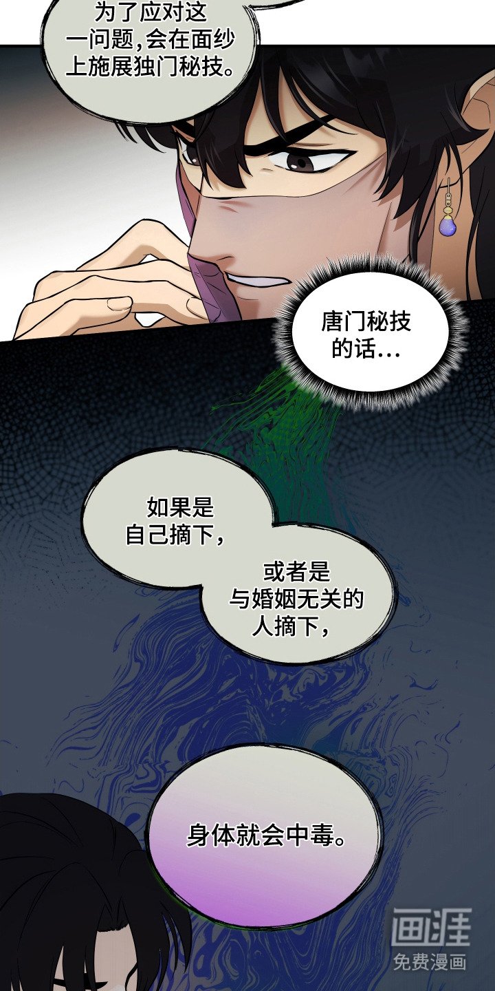 第11章： 面纱