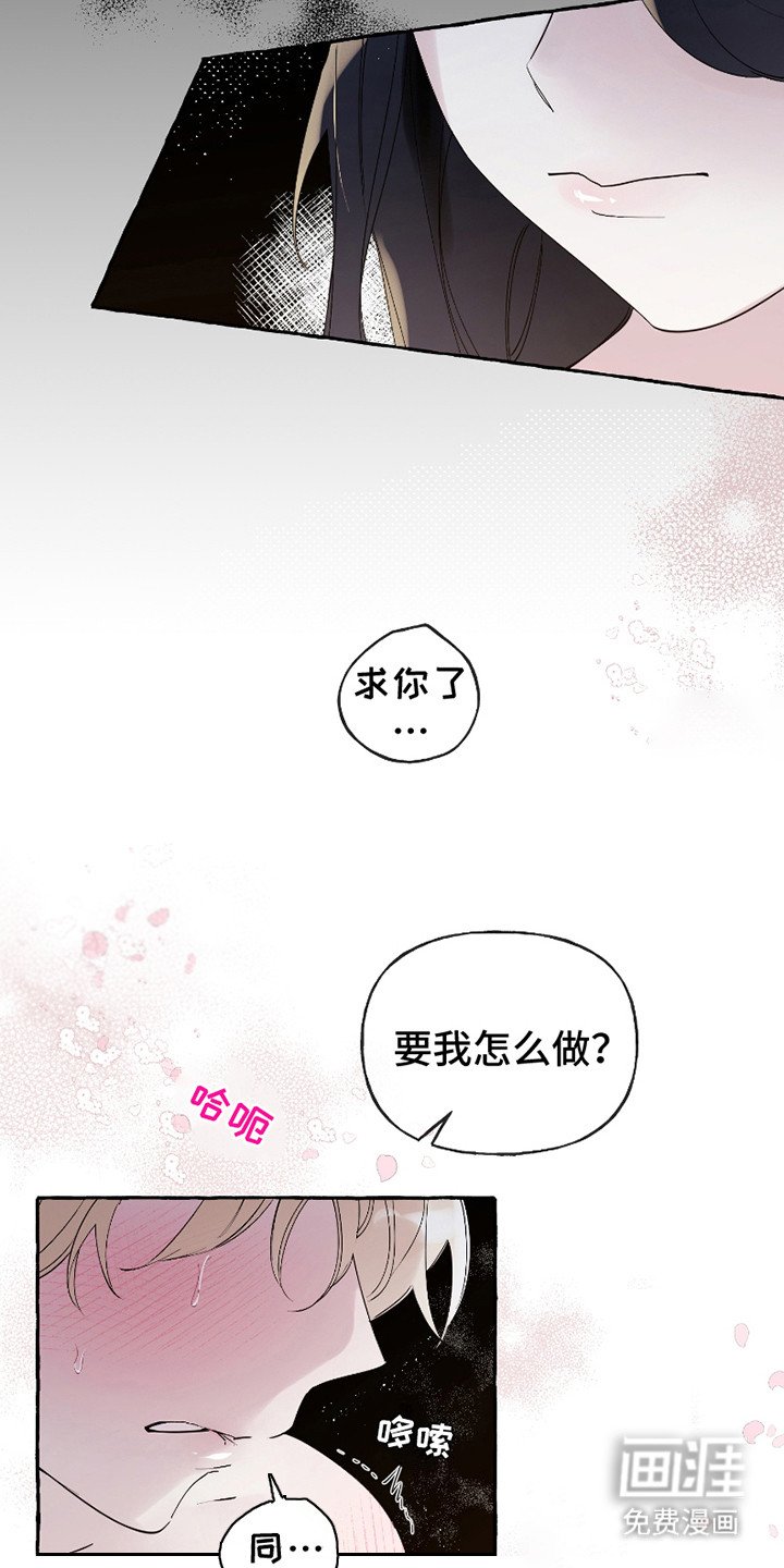 第1章：独特的夜晚