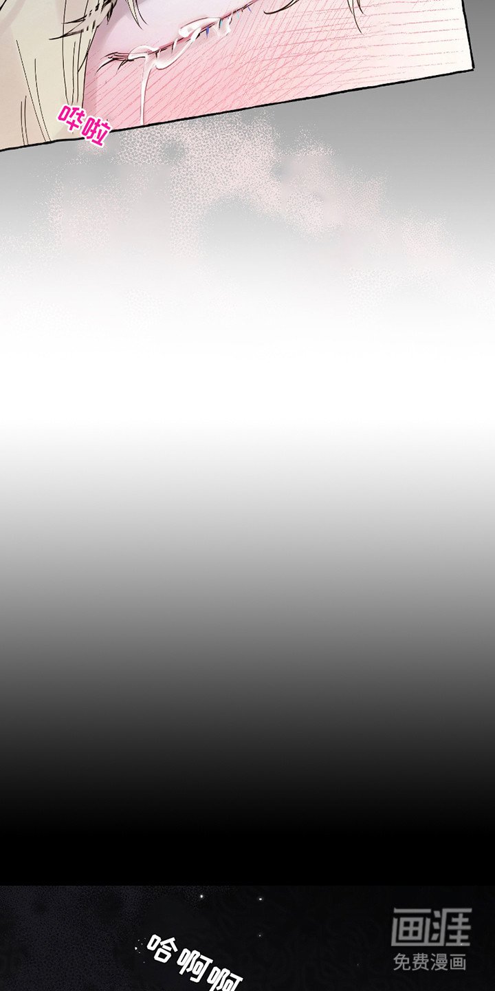 第1章：独特的夜晚