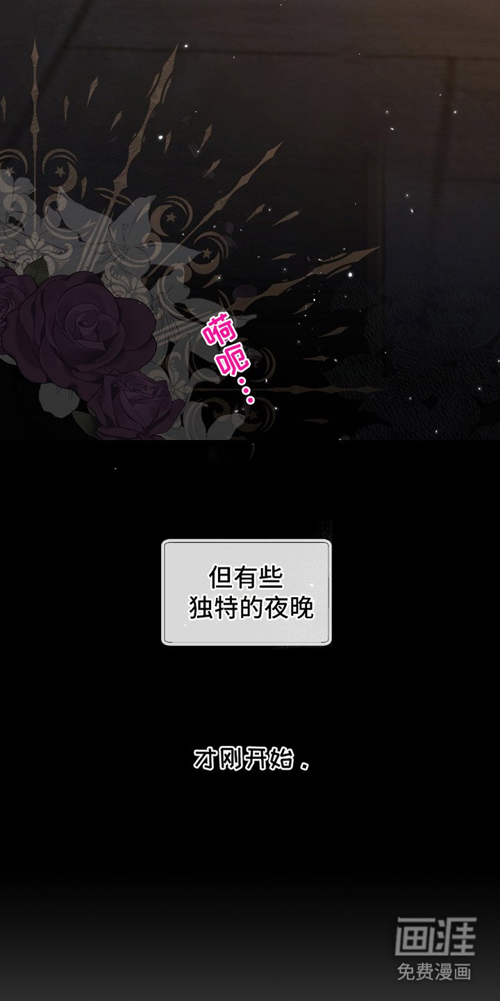 第1章：独特的夜晚