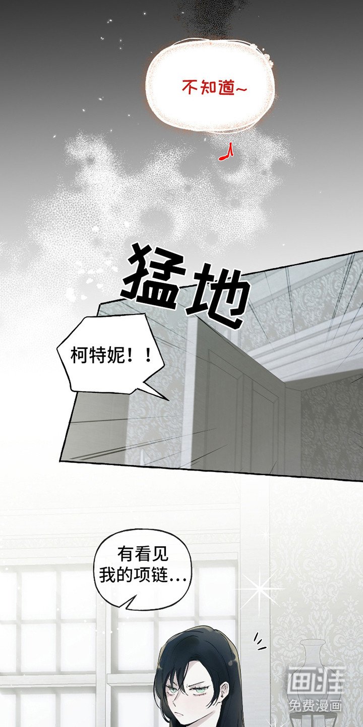 第1章：独特的夜晚