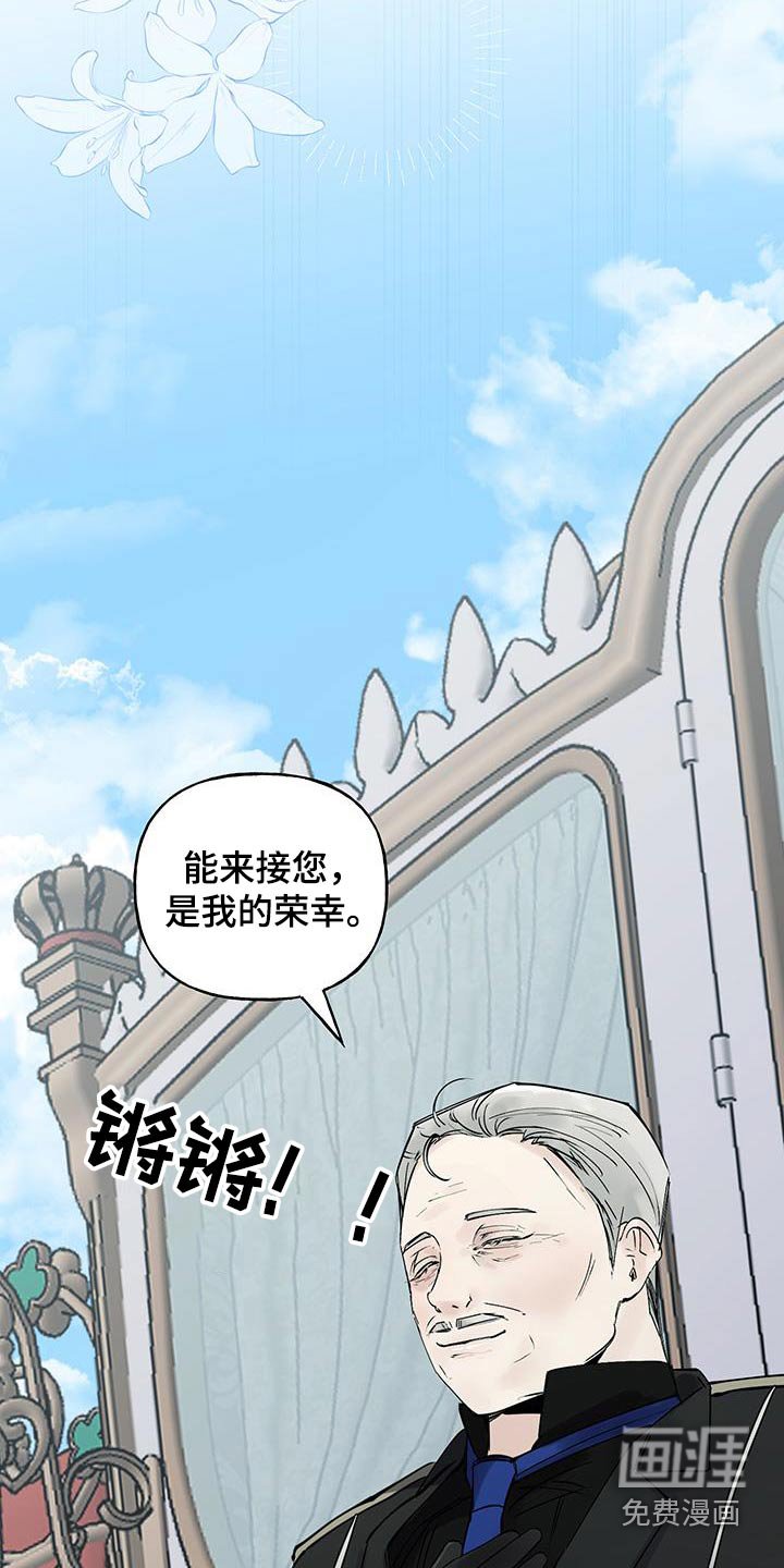 第16章：很荣幸