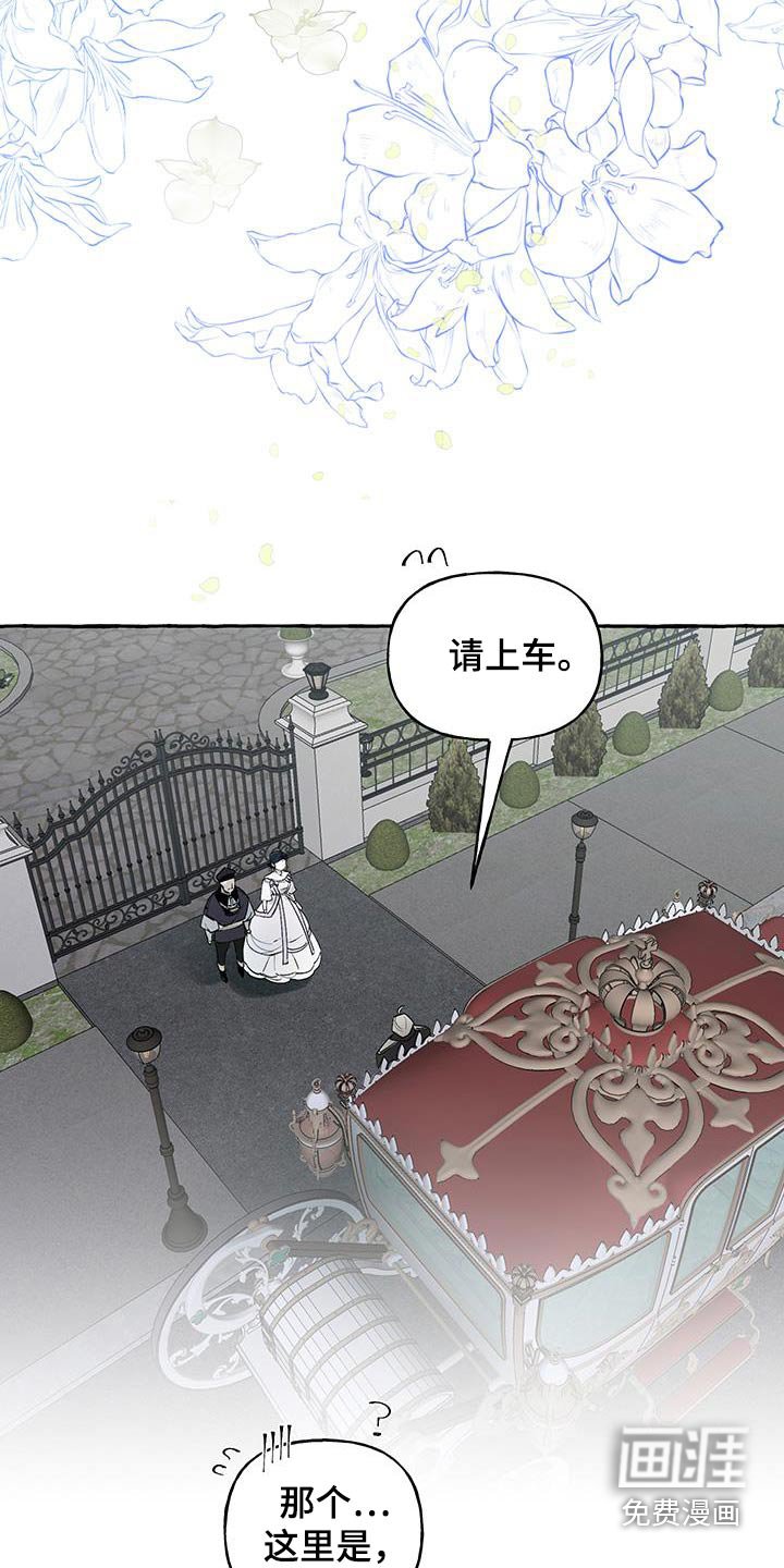 第16章：很荣幸