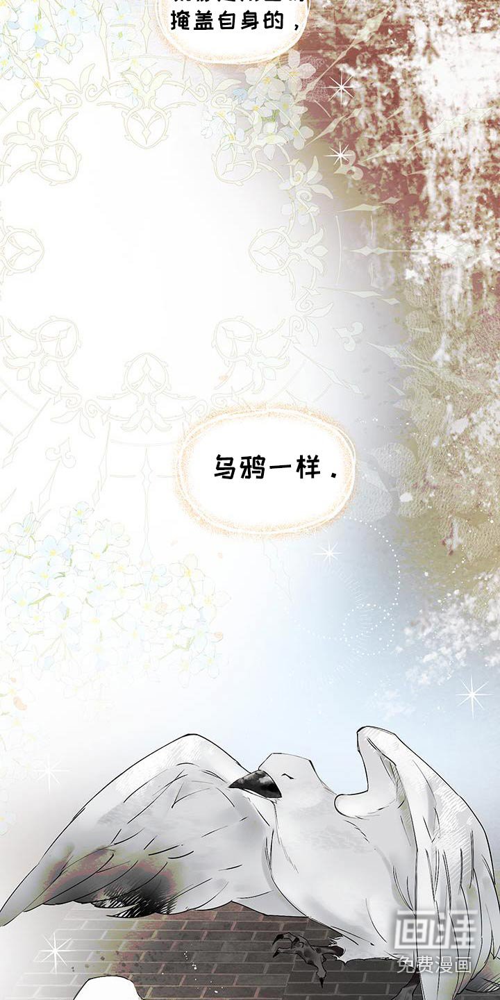 第26章：高级礼服
