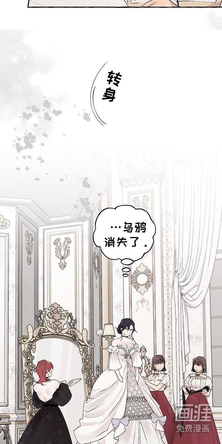 第26章：高级礼服