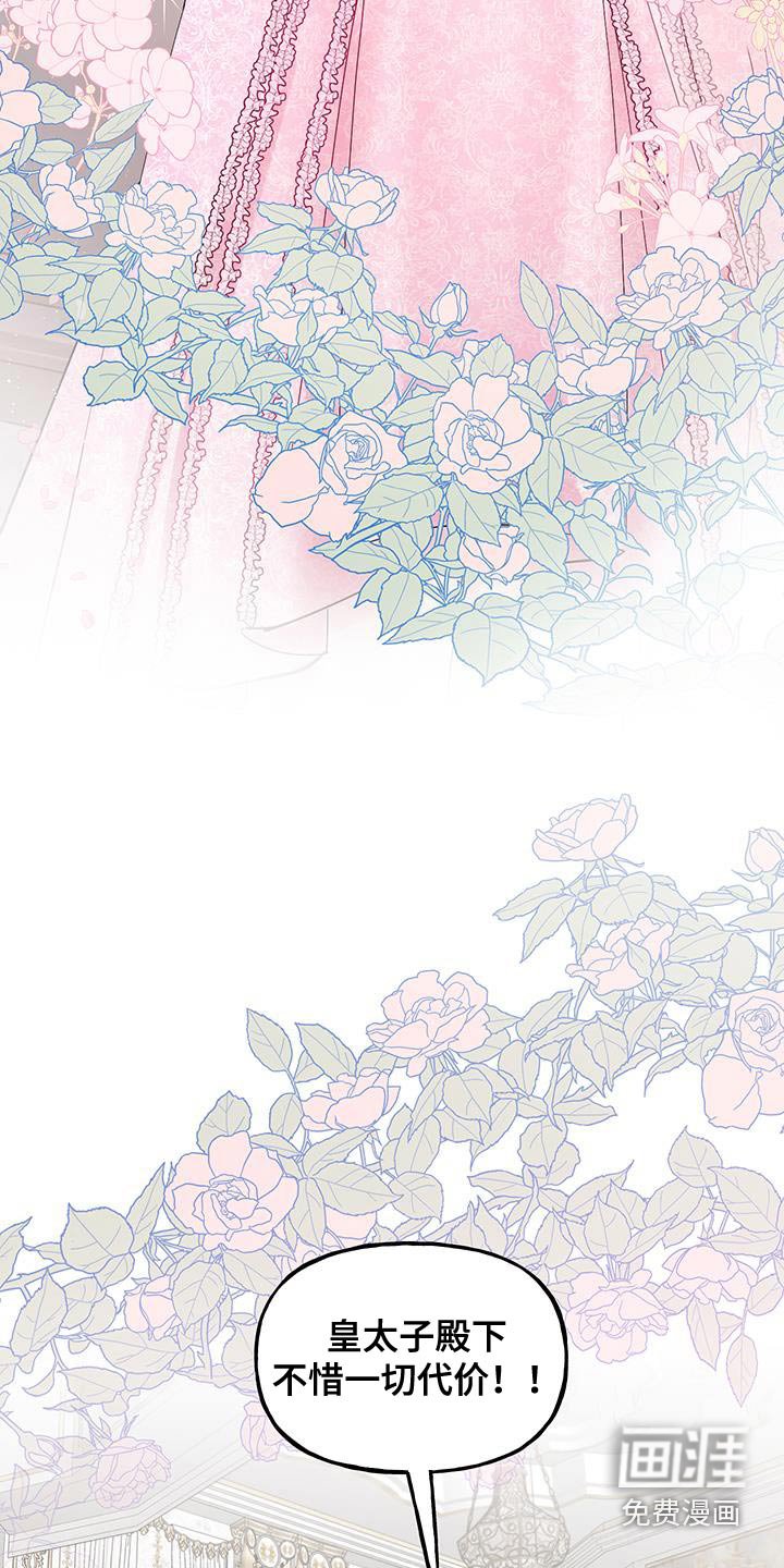 第26章：高级礼服