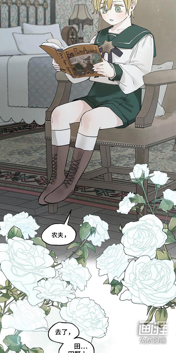 第35章：陷入混乱