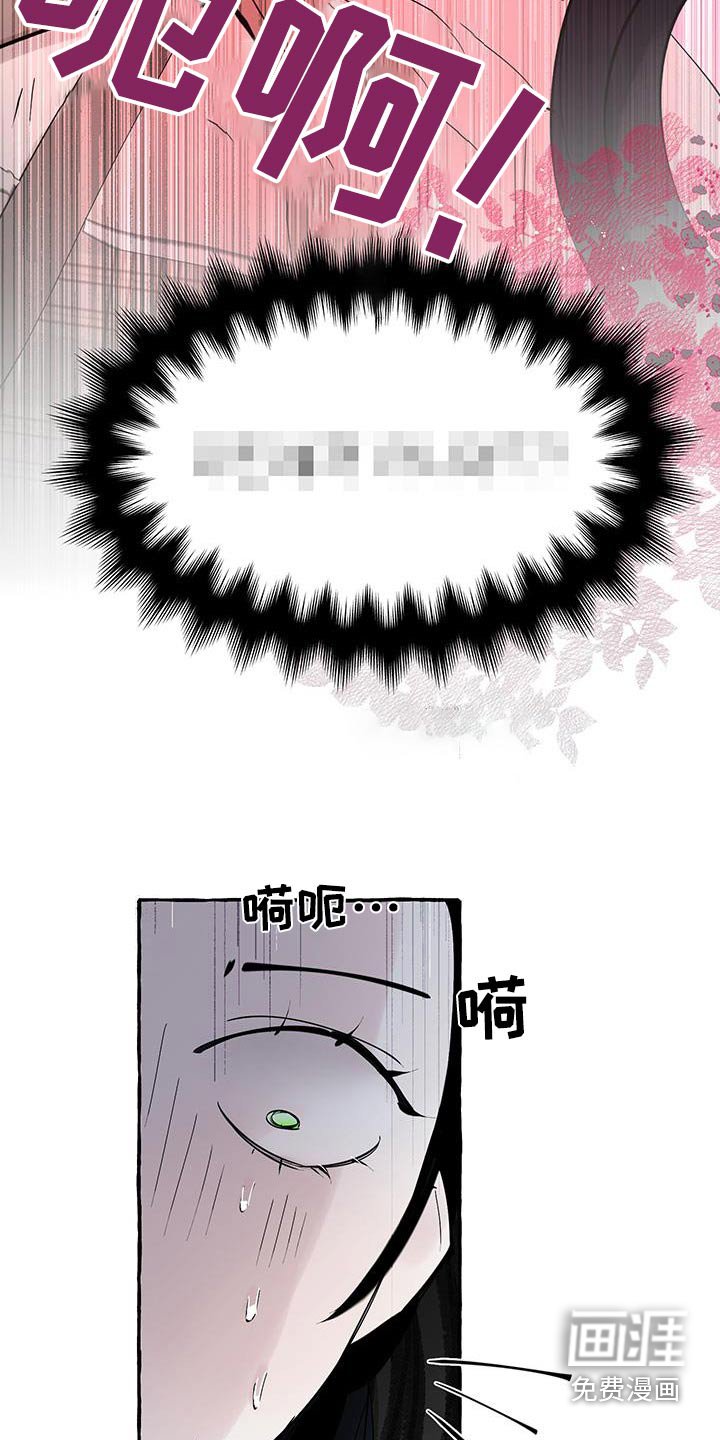 第36章：一本书