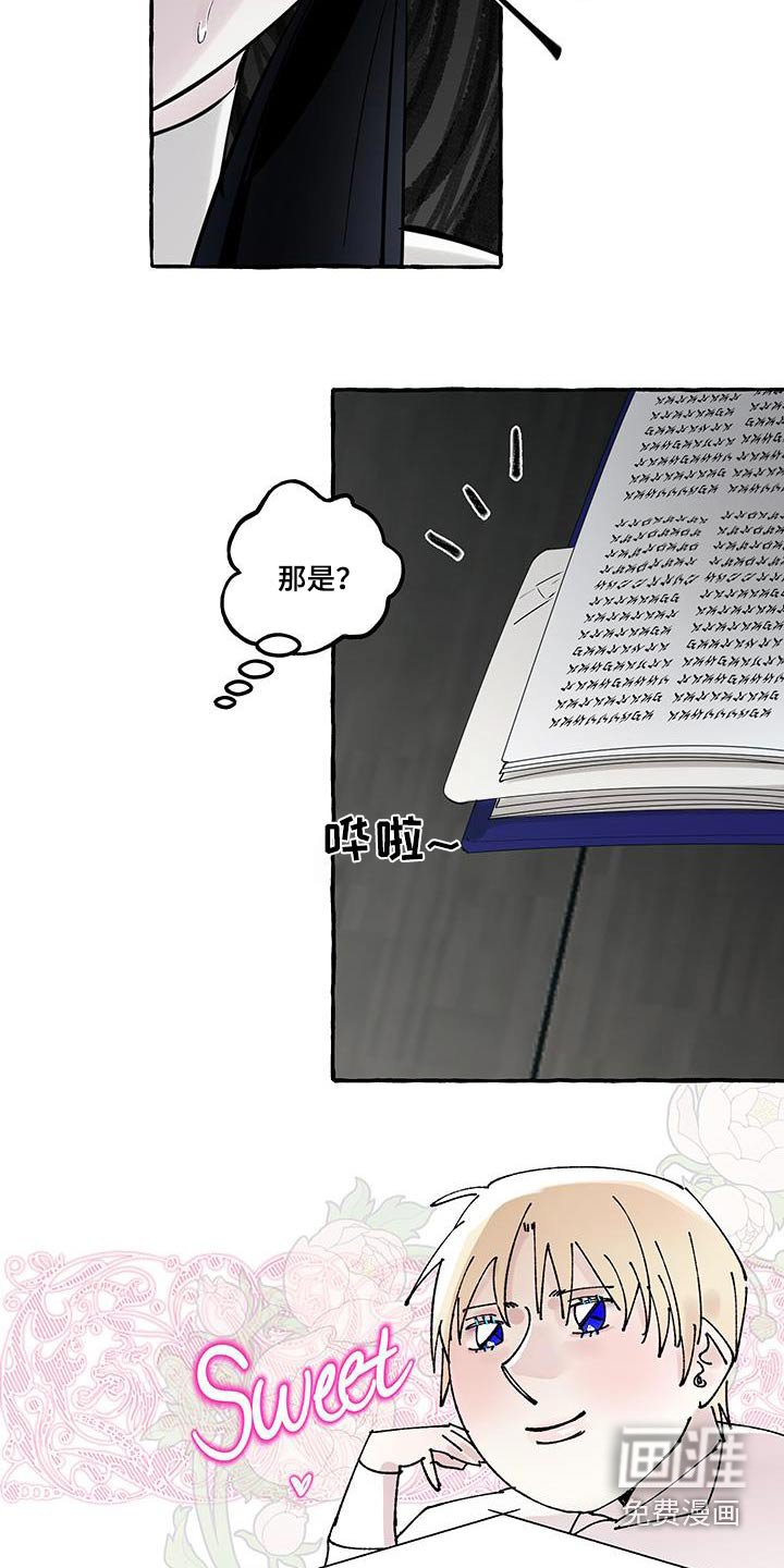 第36章：一本书