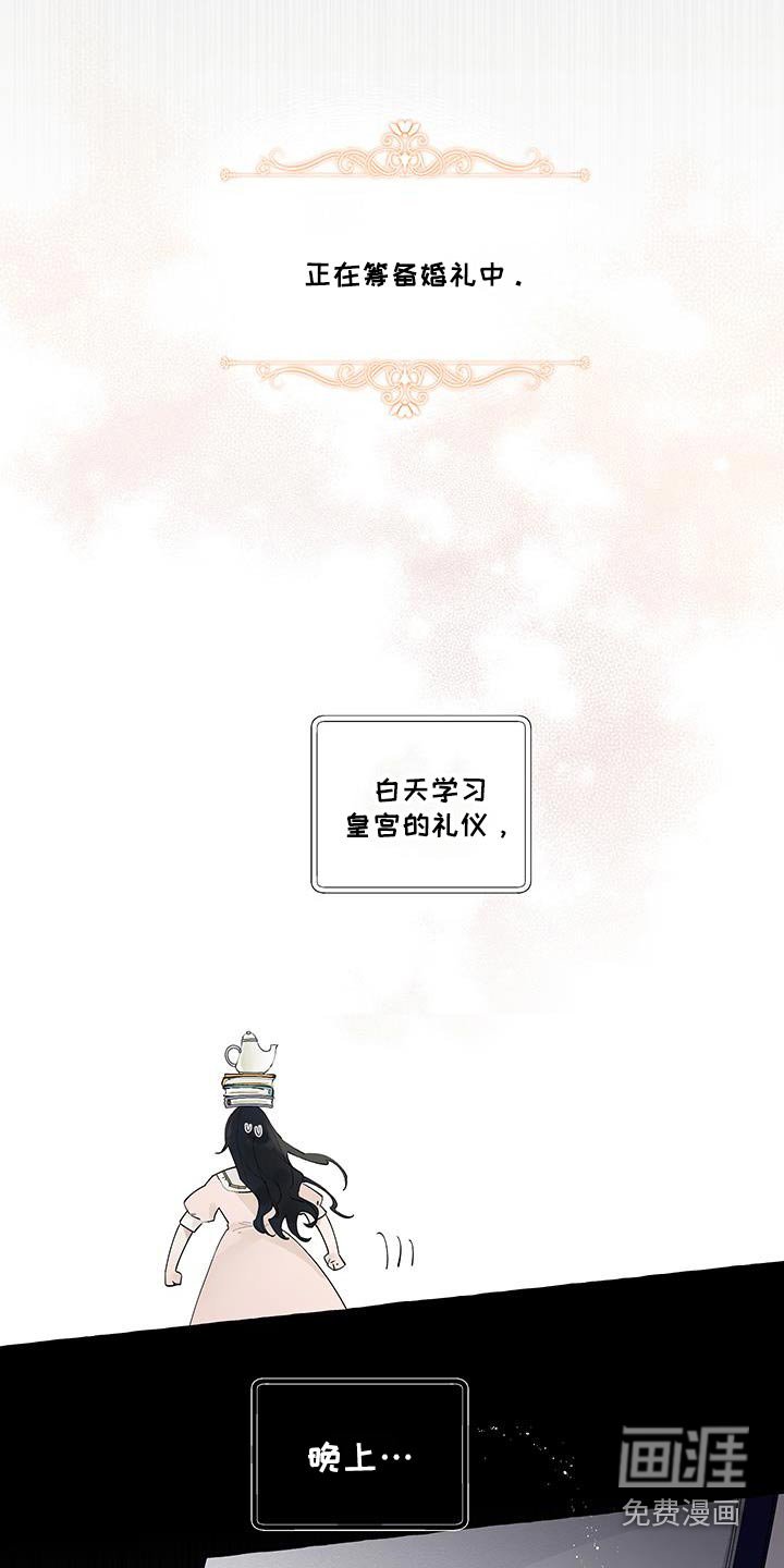 第37章：太漂亮了