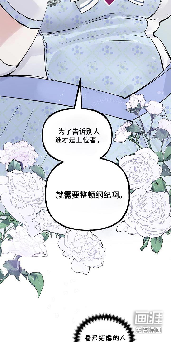 第37章：太漂亮了