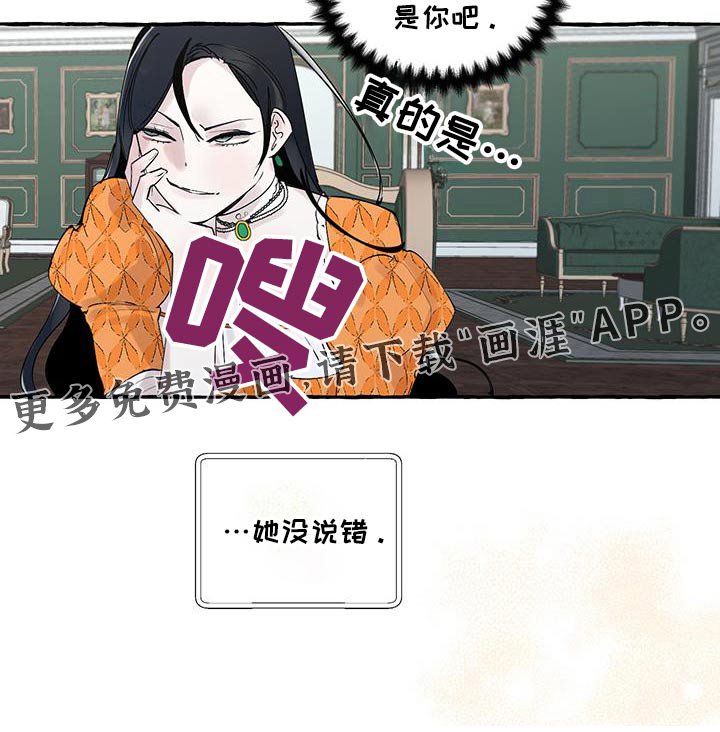 第37章：太漂亮了