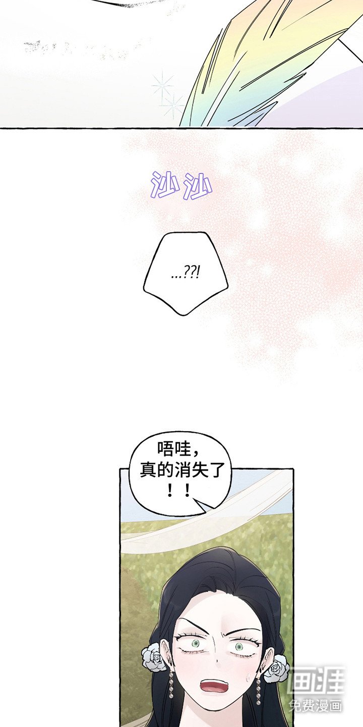 第4章：虚荣