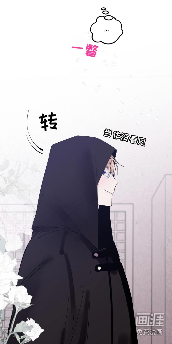 第43章：随便挑