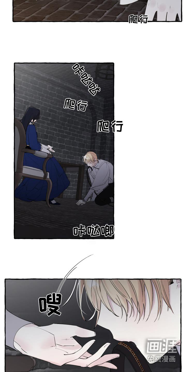 第46章：万幸