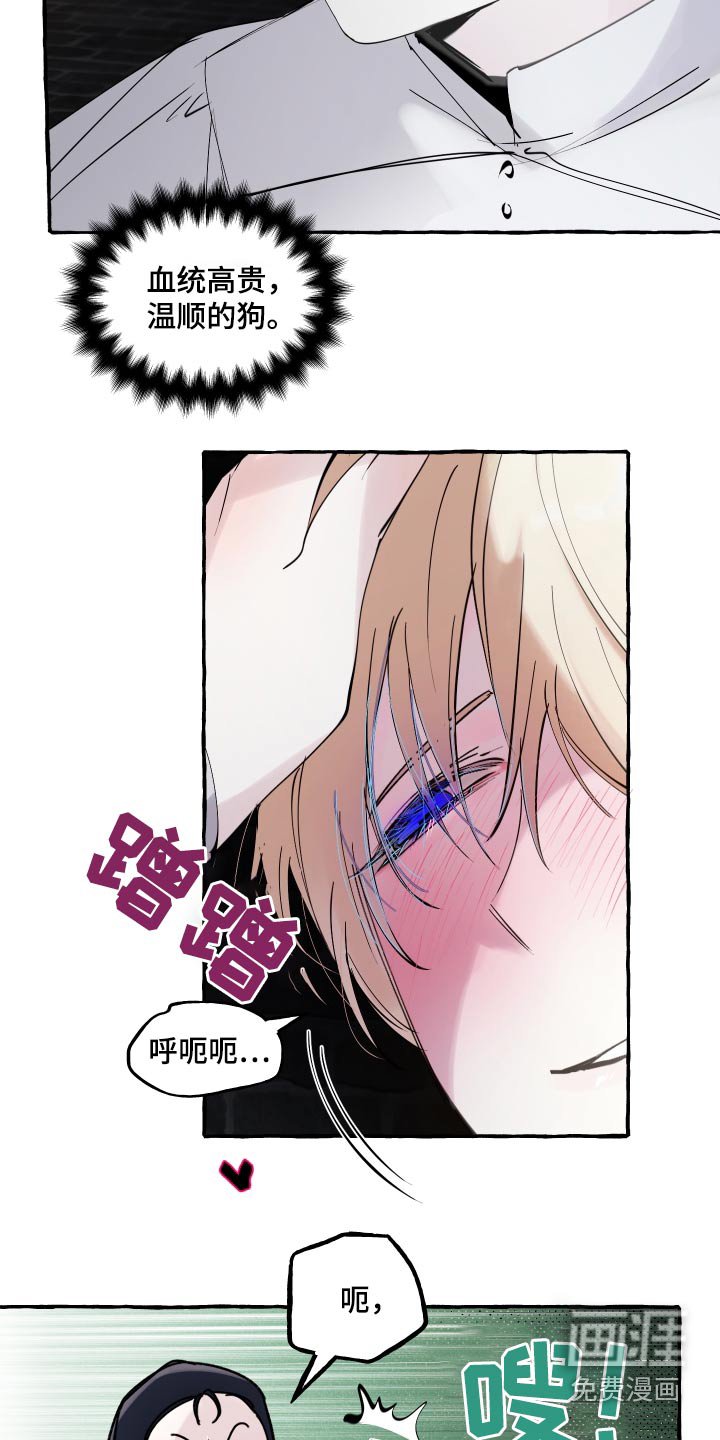 第47章：不重要