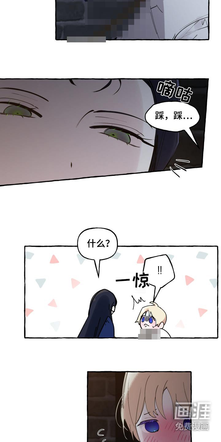 第48章：到此为止
