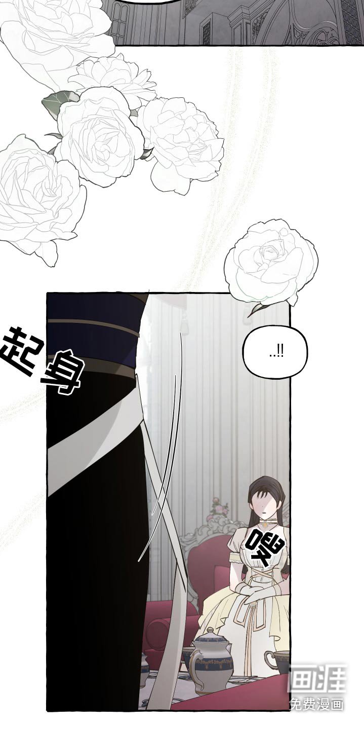 第50章：百年难遇