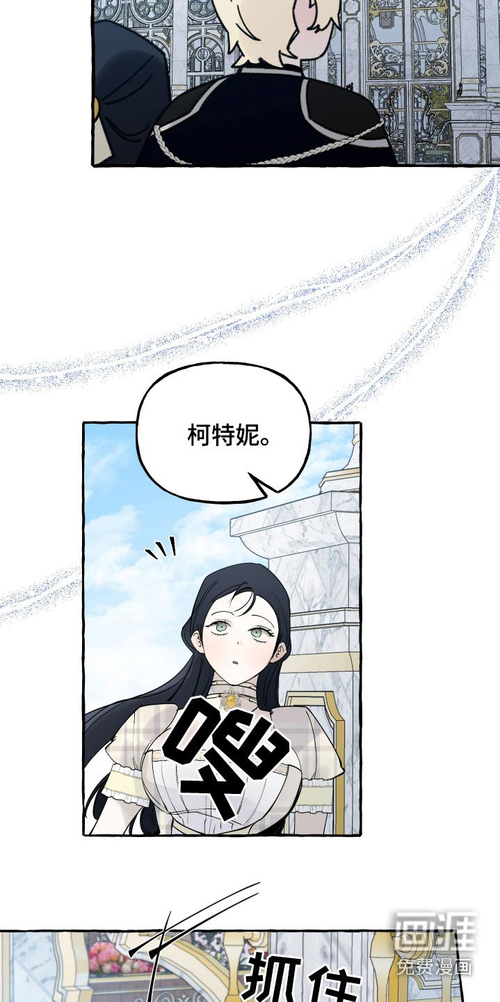 第51章：好美