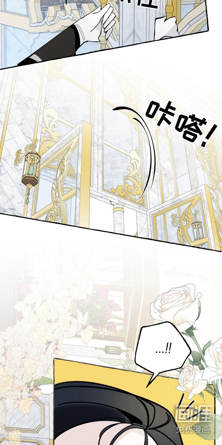 第51章：好美