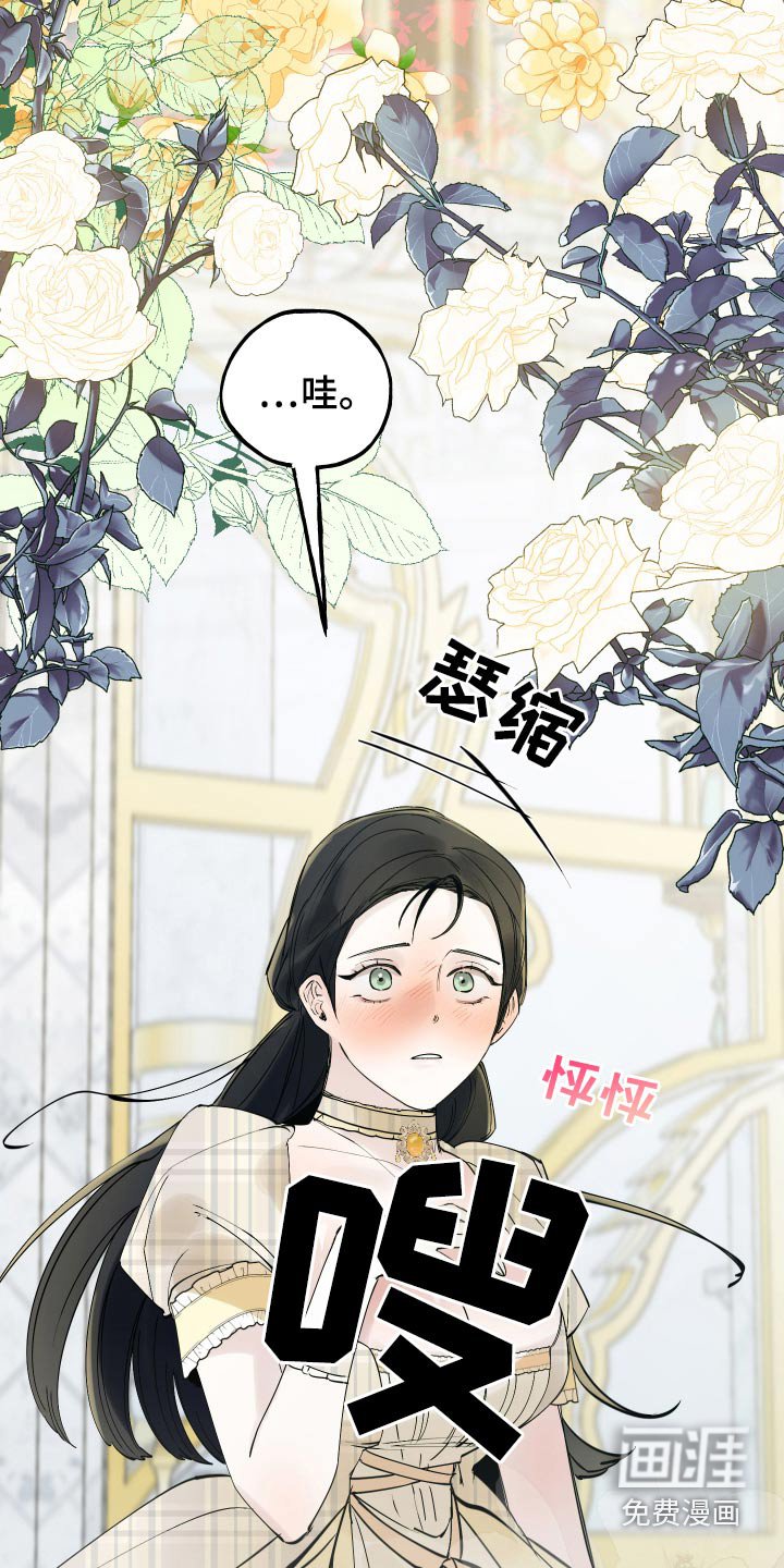 第51章：好美
