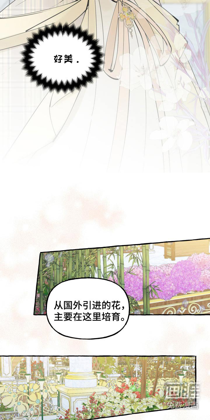 第51章：好美
