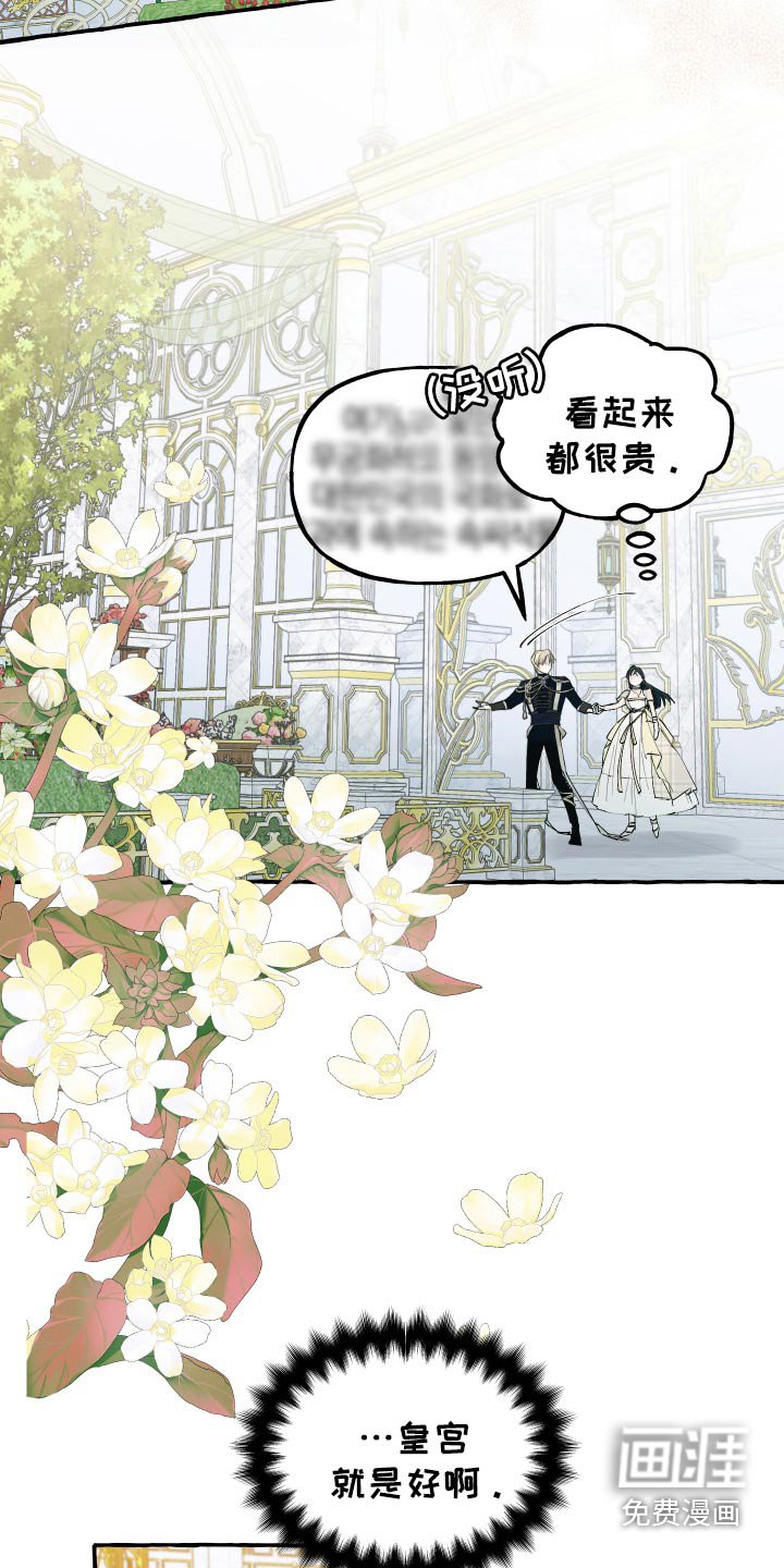 第51章：好美