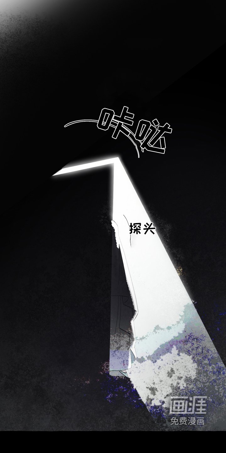 第61章：婚礼