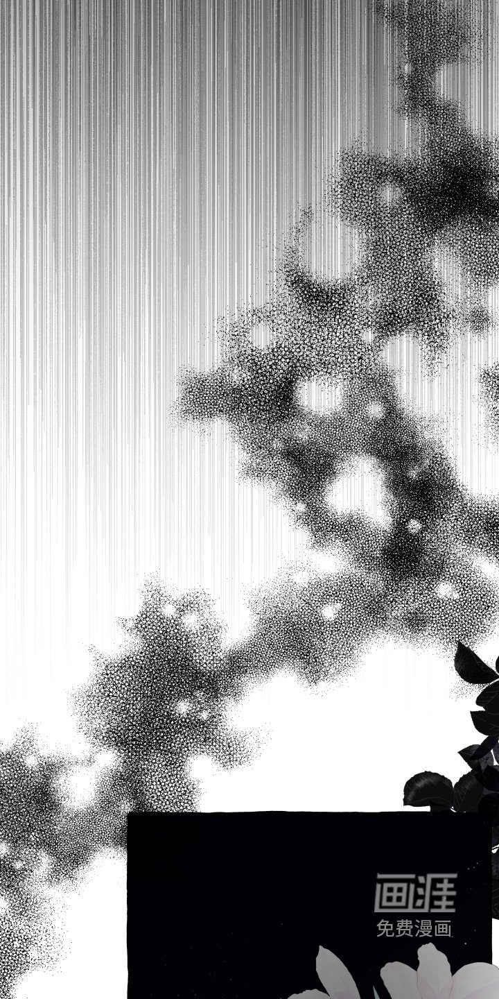 第75章：不会失误
