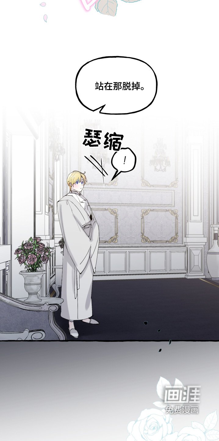 第75章：不会失误