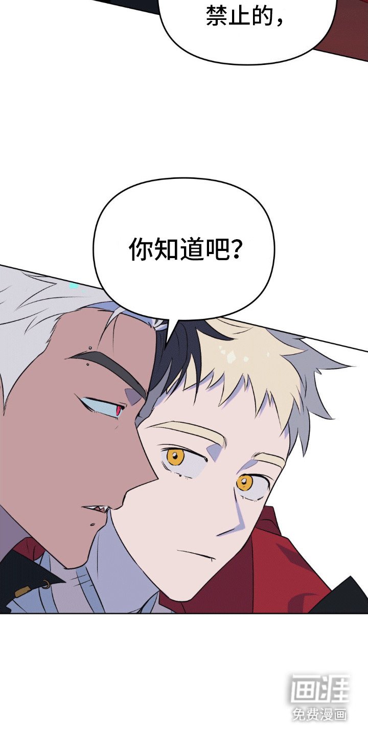第13章：挑衅