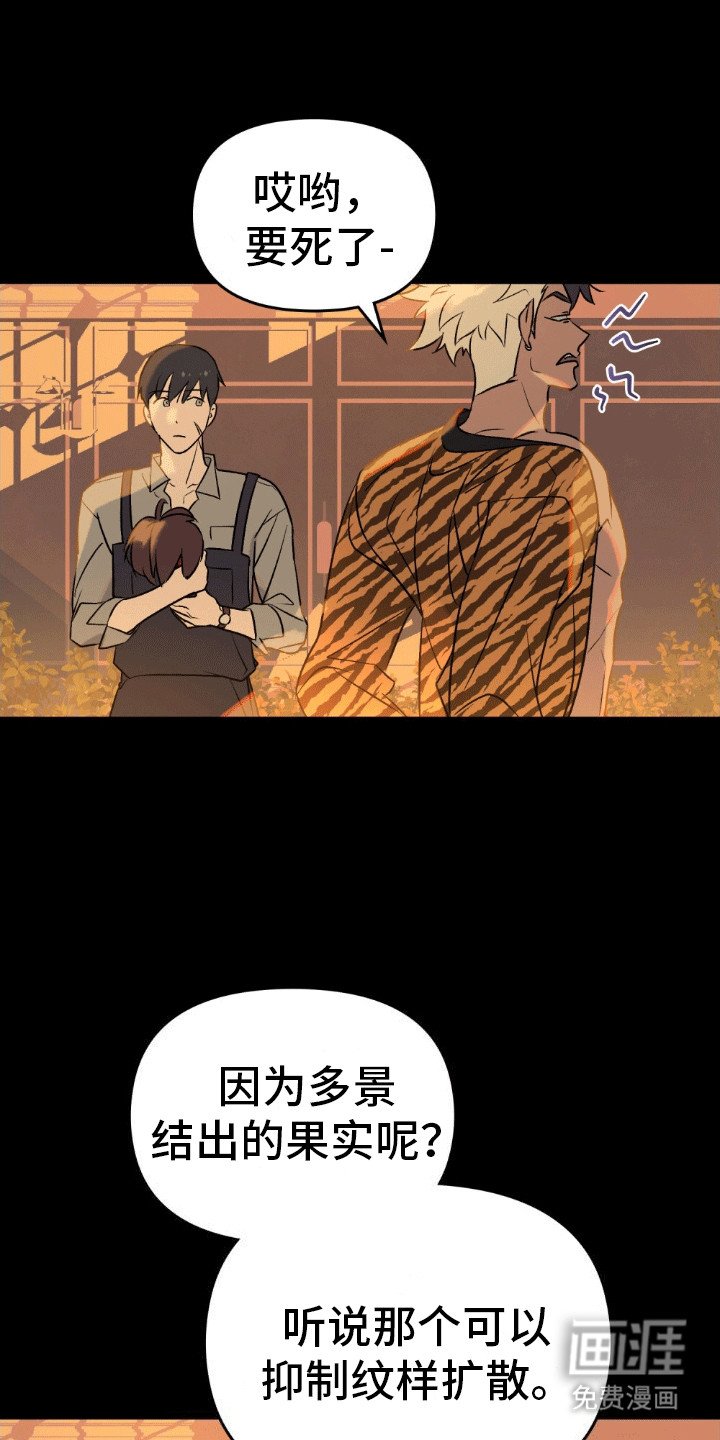 第14章：飞来横祸