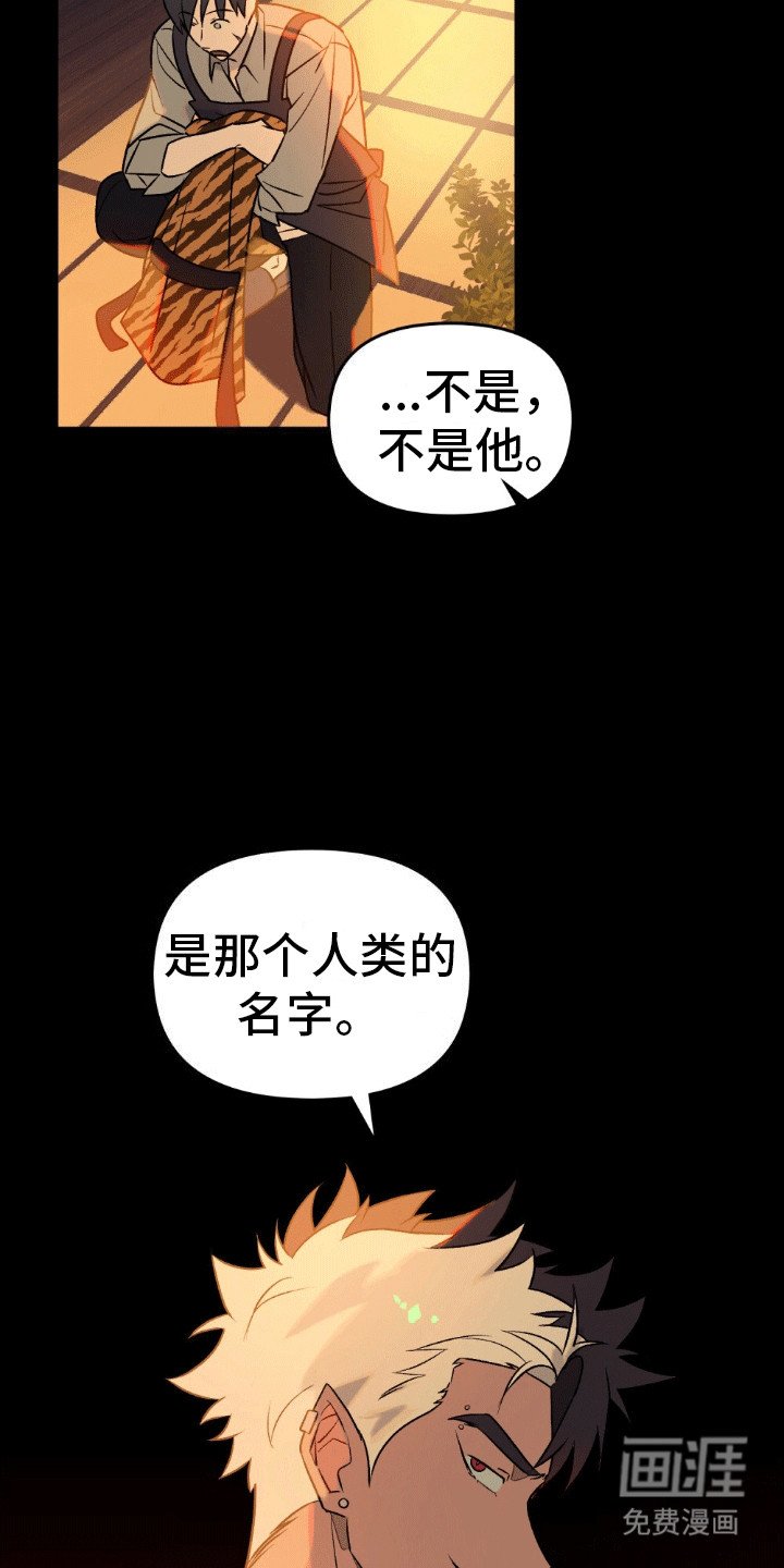 第15章：似乎伤到脑子了