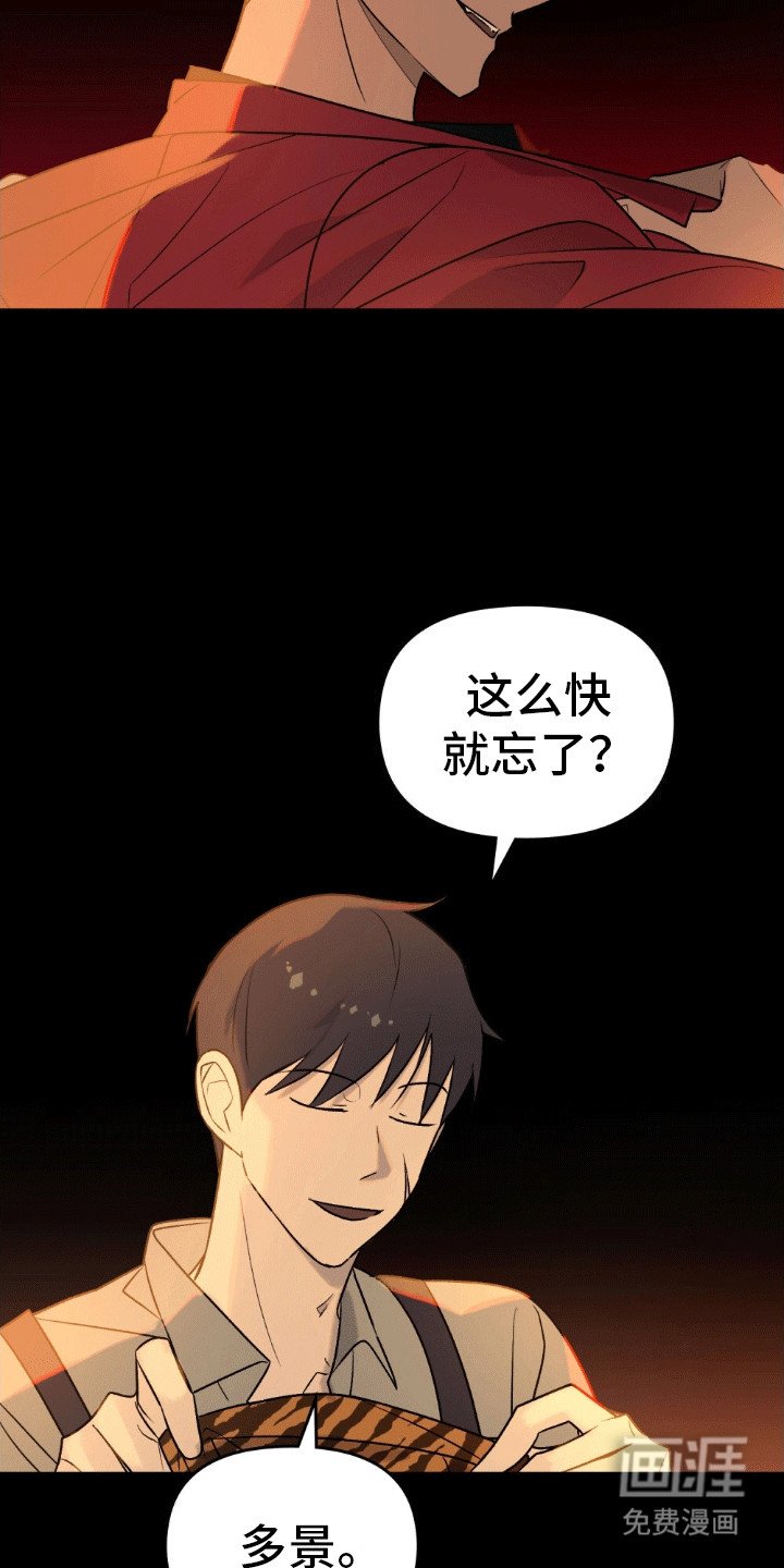 第15章：似乎伤到脑子了