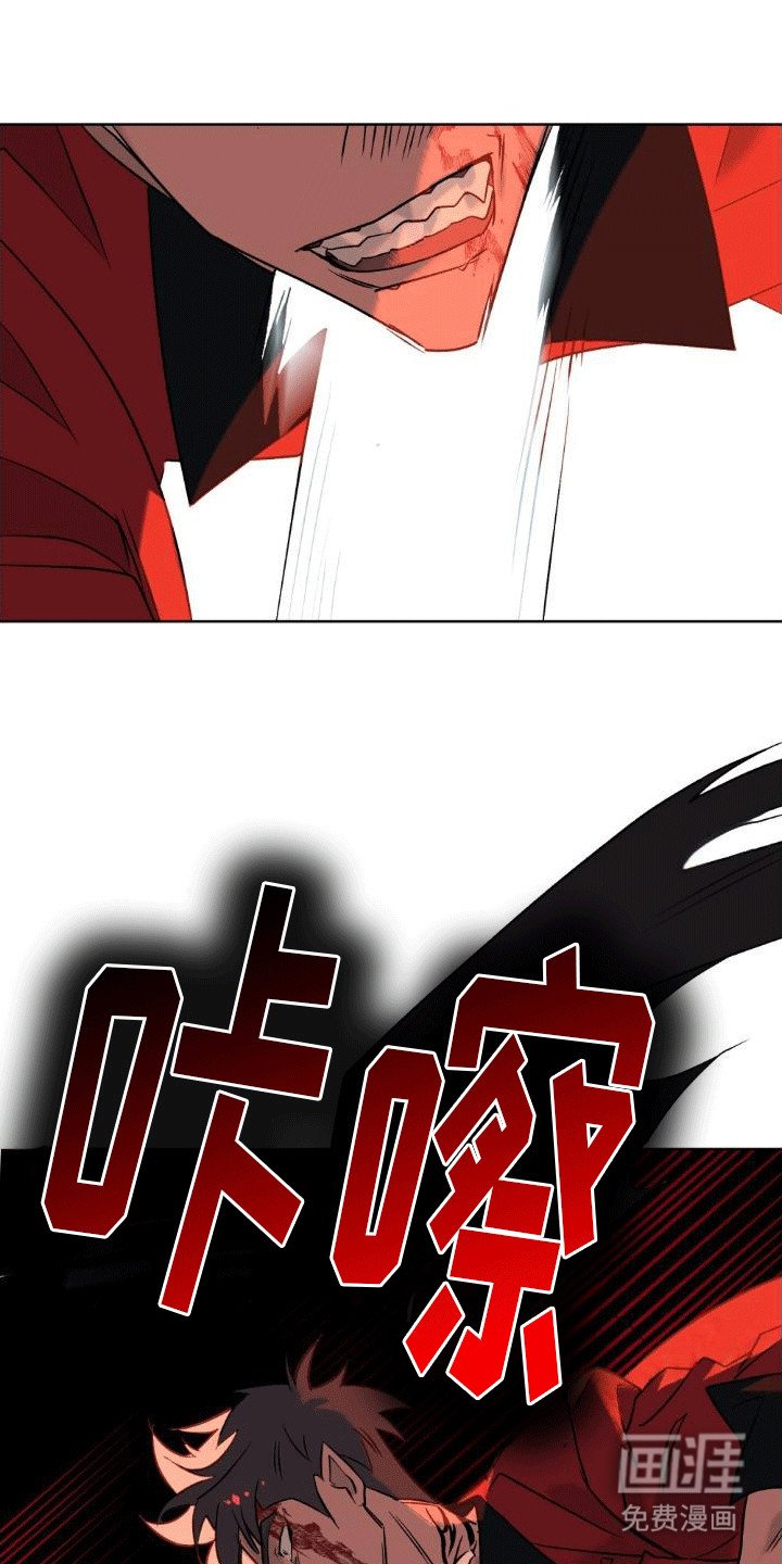 第15章：似乎伤到脑子了