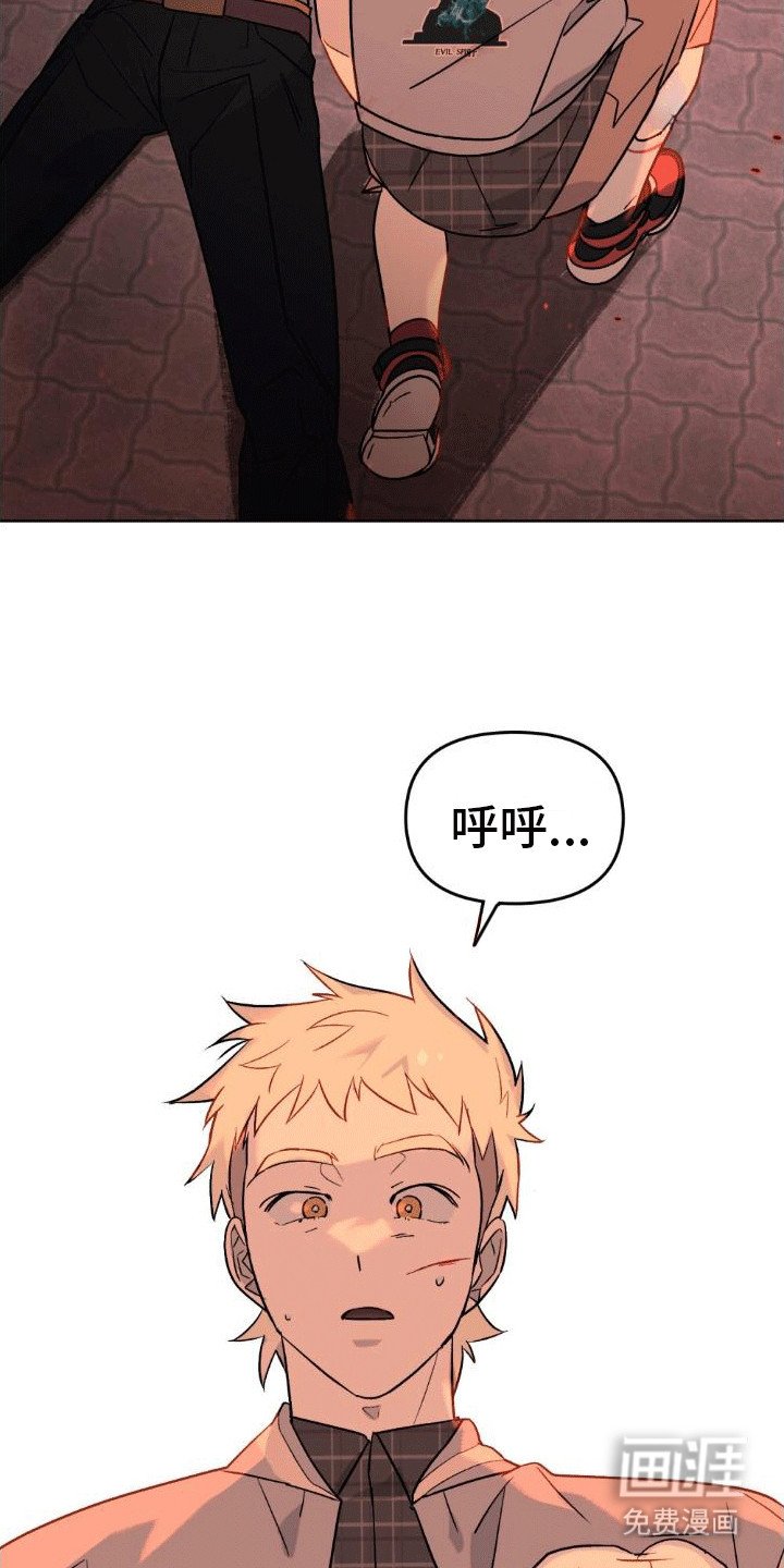 第15章：似乎伤到脑子了