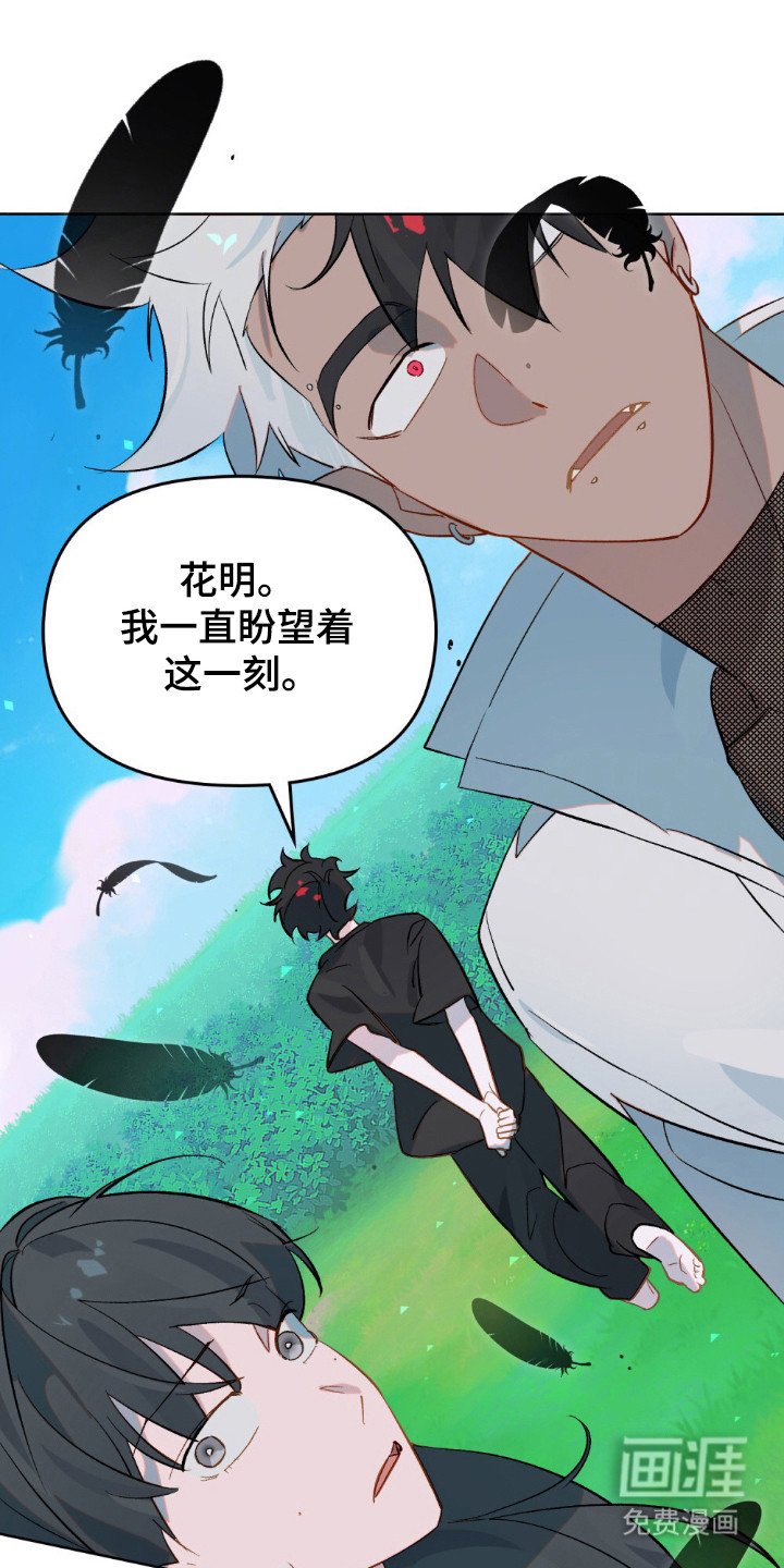 第52章：期待找到你