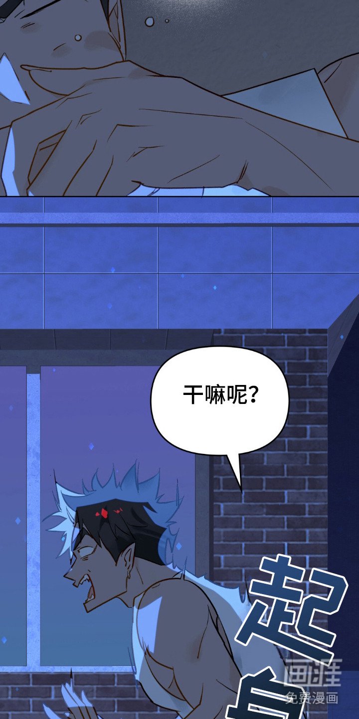 第58章：怎么回事