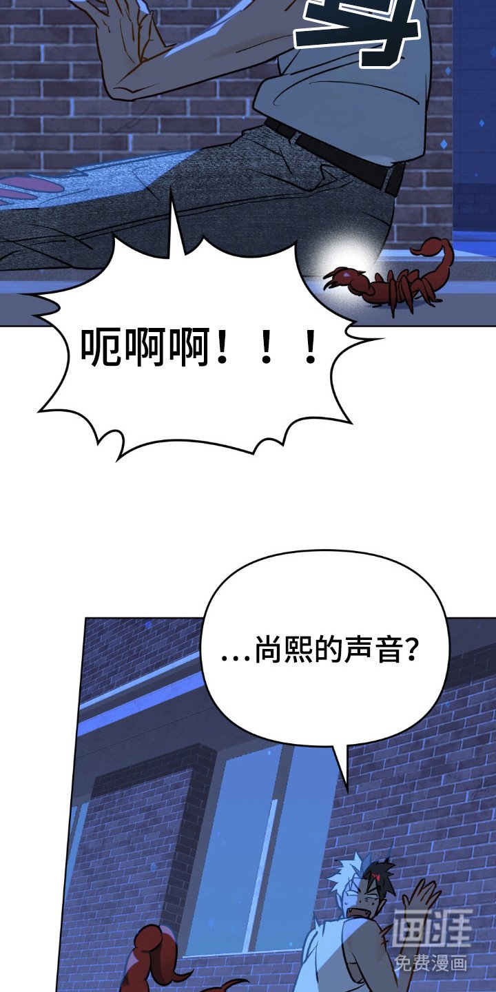 第58章：怎么回事