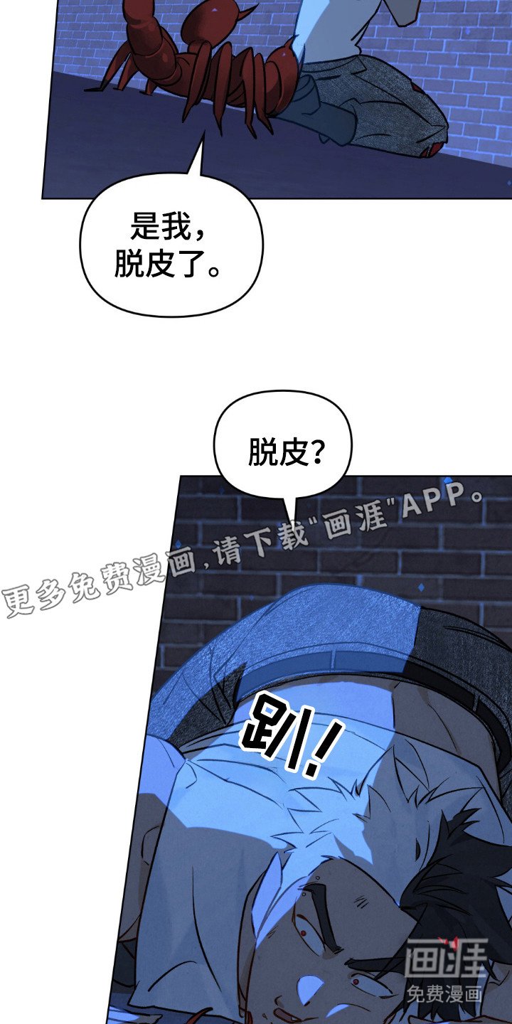 第58章：怎么回事
