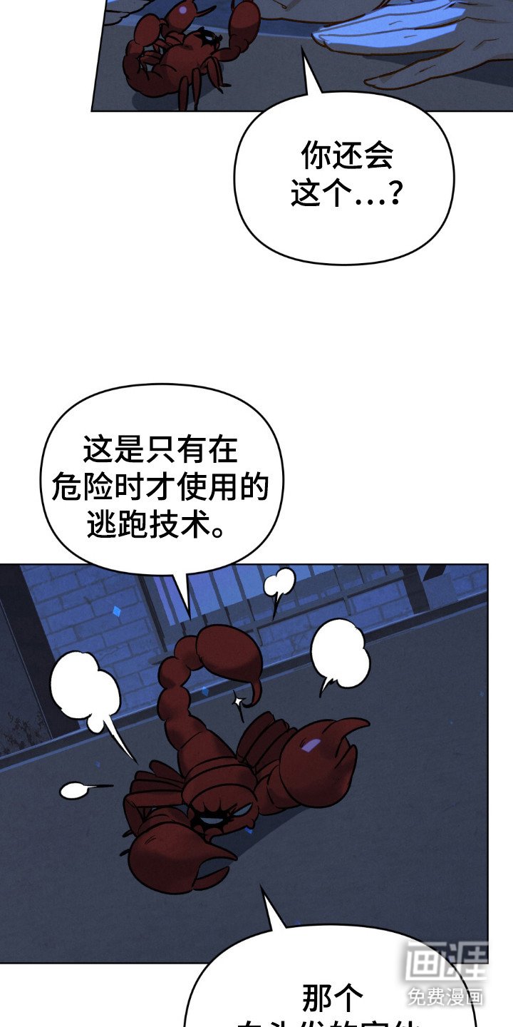 第58章：怎么回事