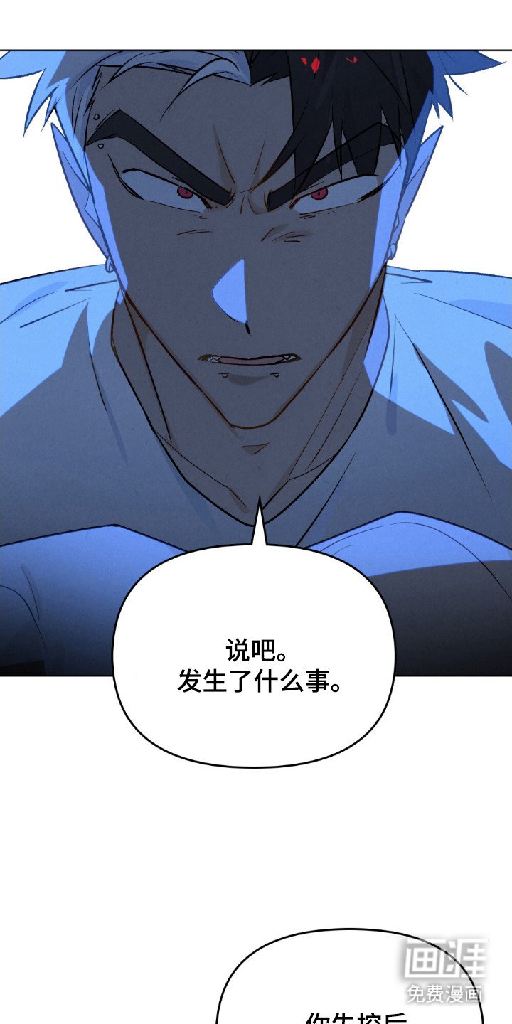 第60章：到底发生什么