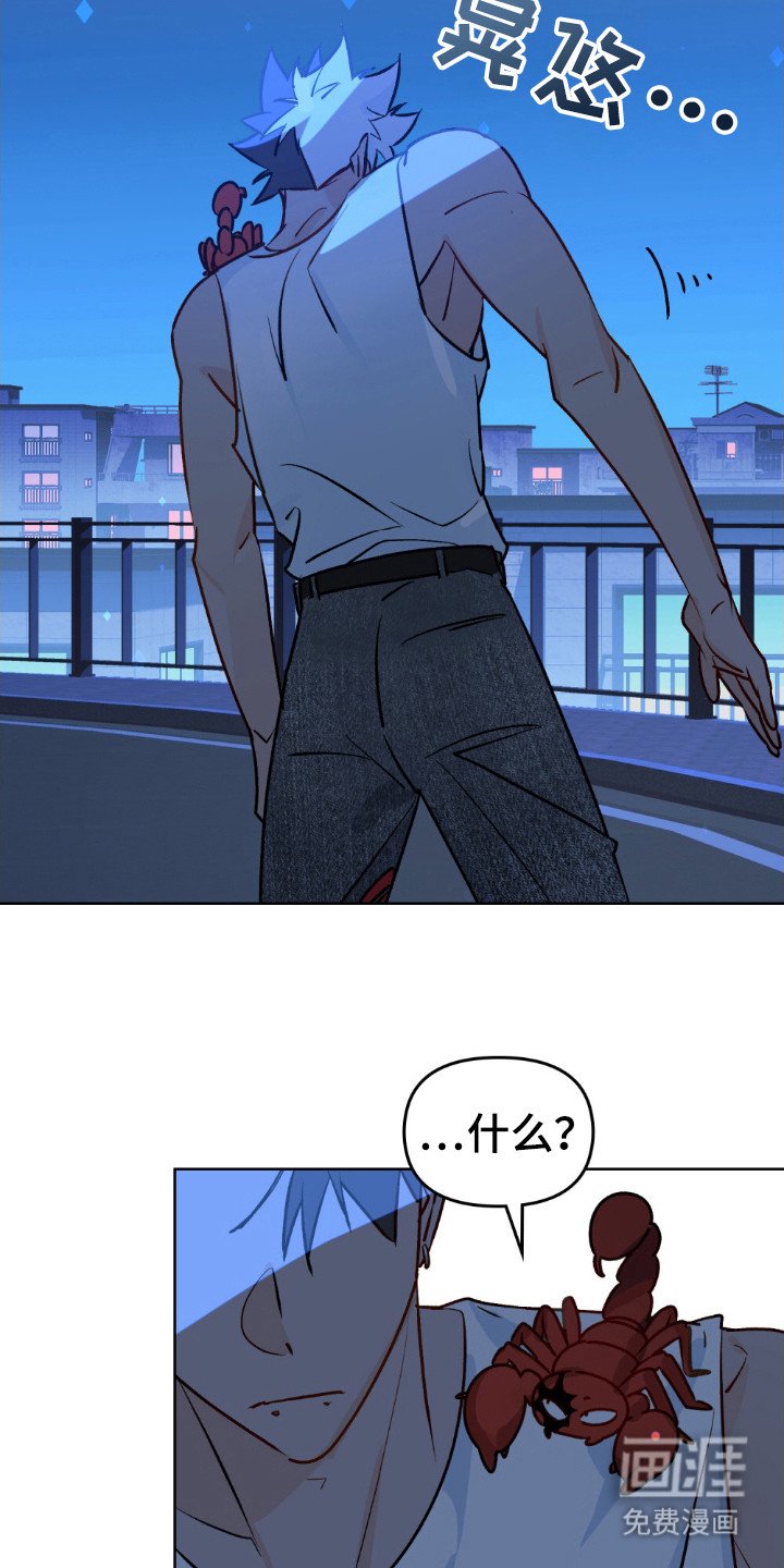 第61章：等他